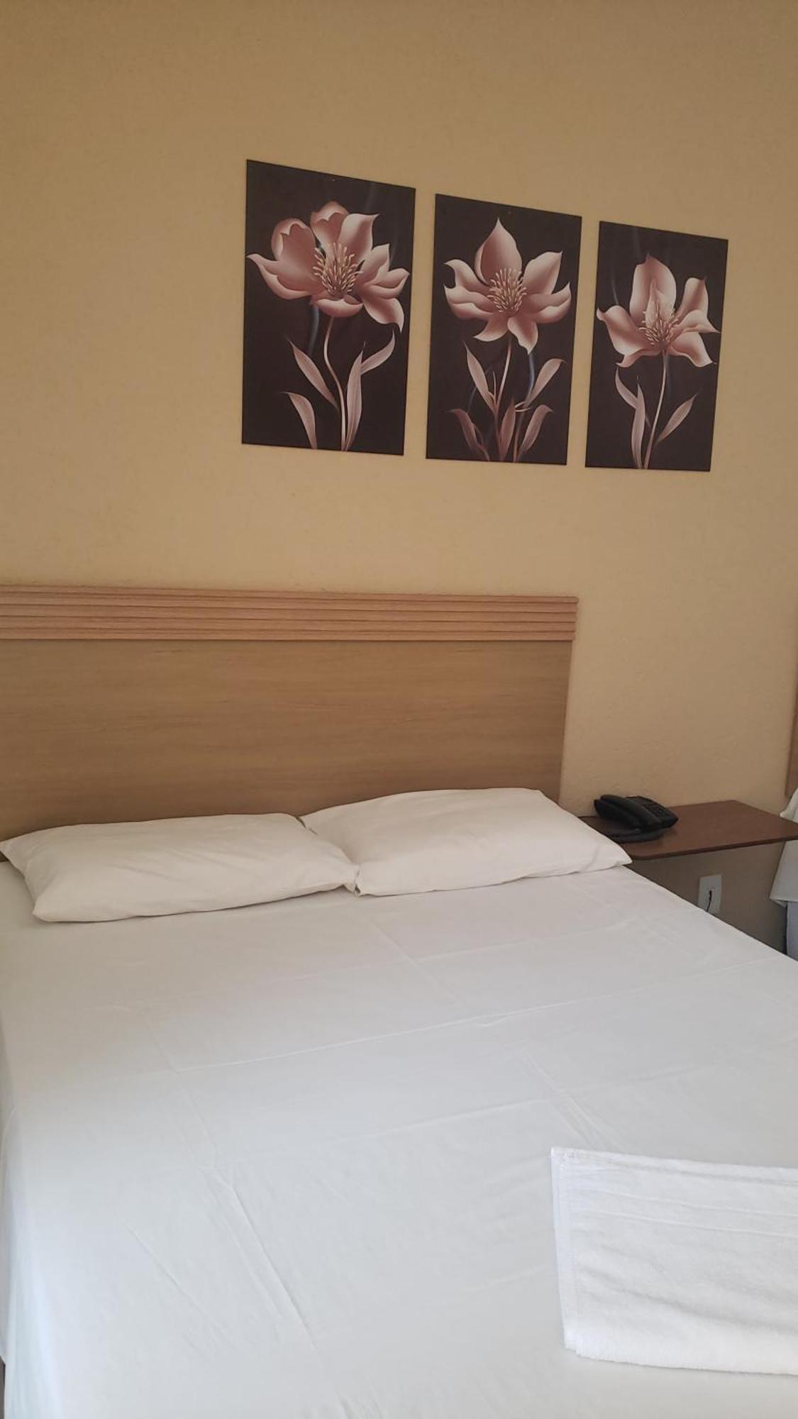 Hotel Flamboia Araraquara Ngoại thất bức ảnh